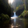 Punchbowl Autumn